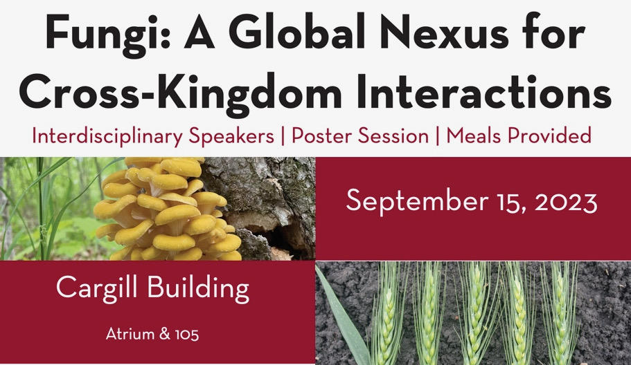Fungi: A Global Nexus for Cross-Kingdom Interactions